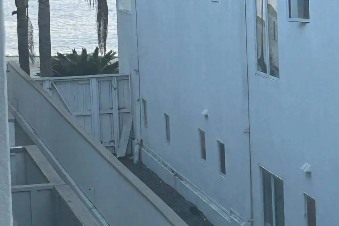 719df3de d31f 4c03 825a b014e5b4ed0e