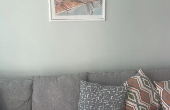 1fd895f1 ad3c 4018 aba2 23941206aecd